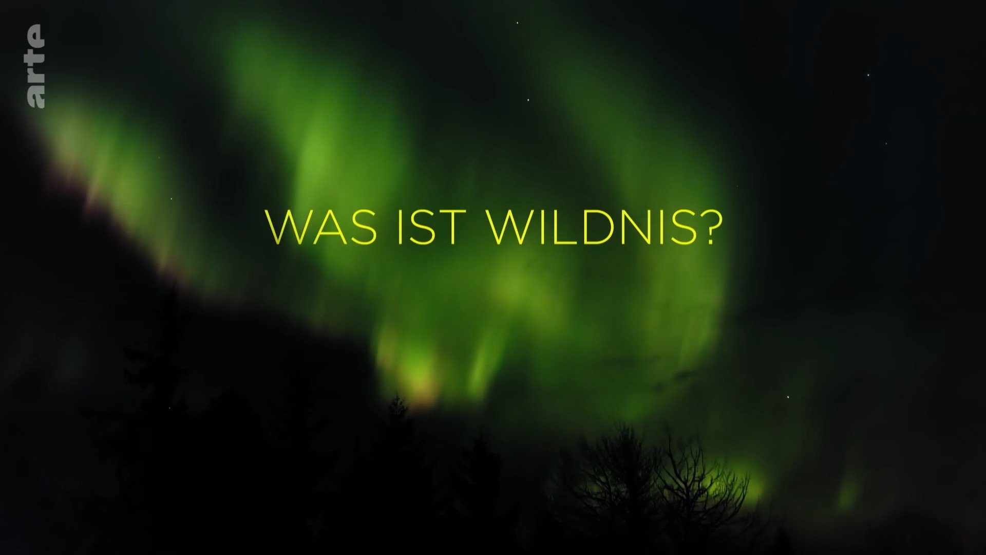 What is Wilderness