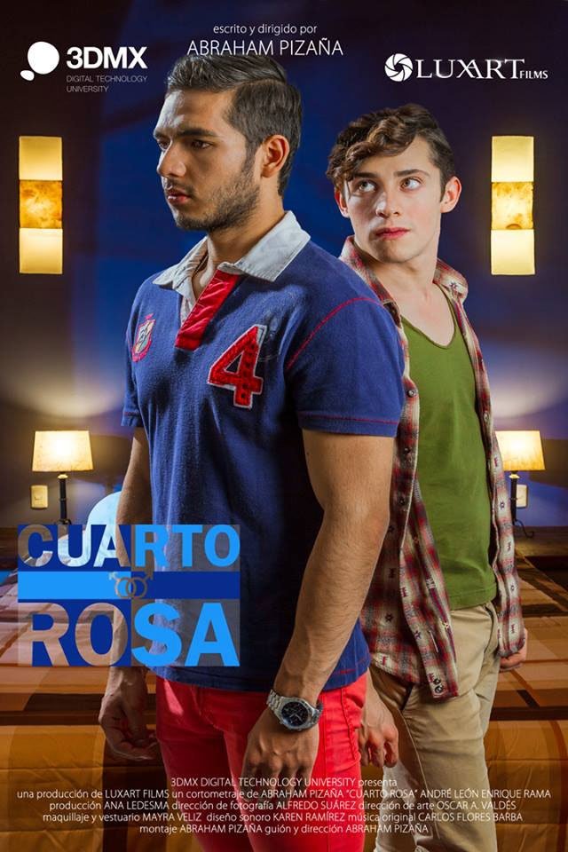 Poster de Cuarto Rosa