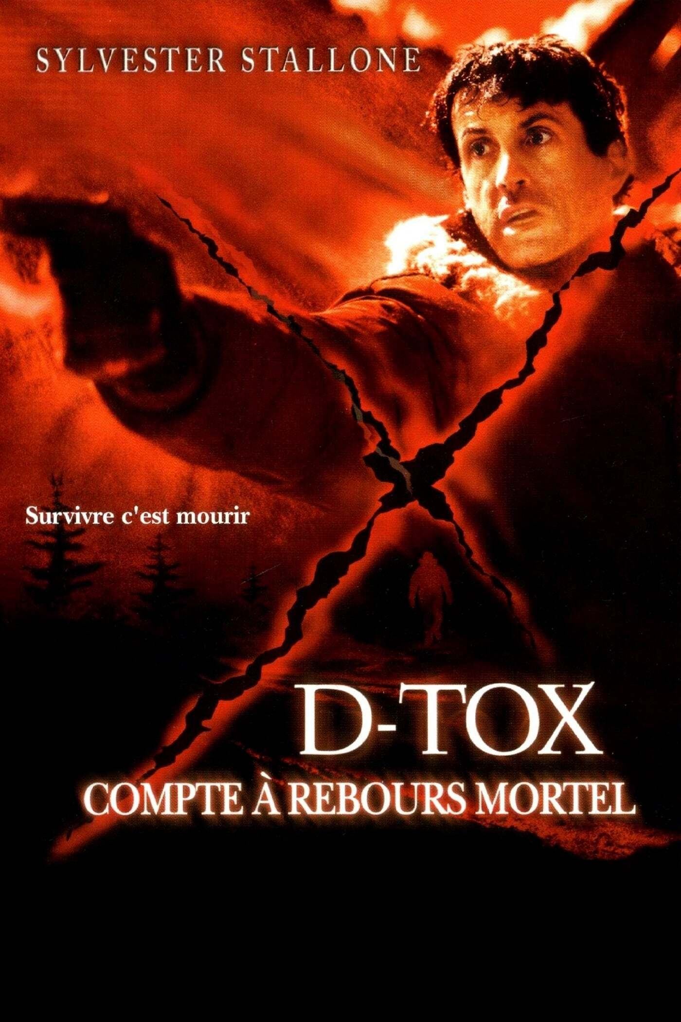 Affiche du film D-Tox