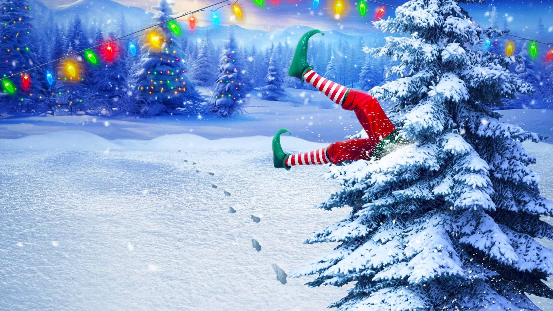 Backdrop image