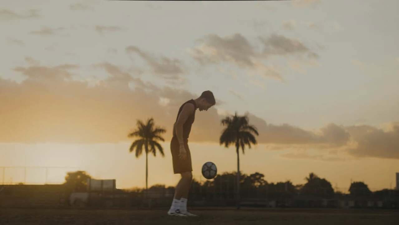 Director