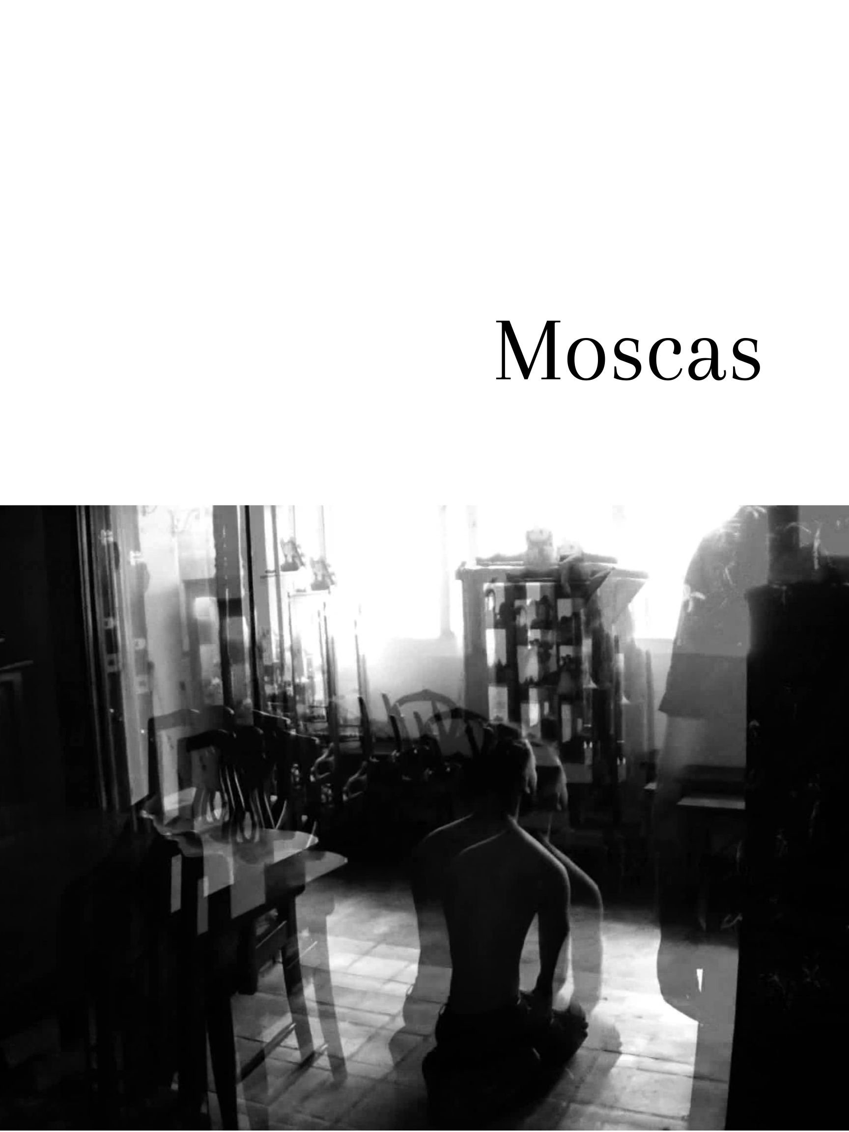 Poster de Moscas