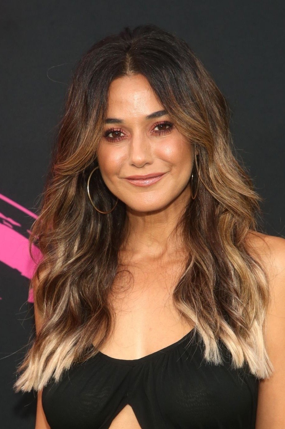 Foto de Emmanuelle Chriqui