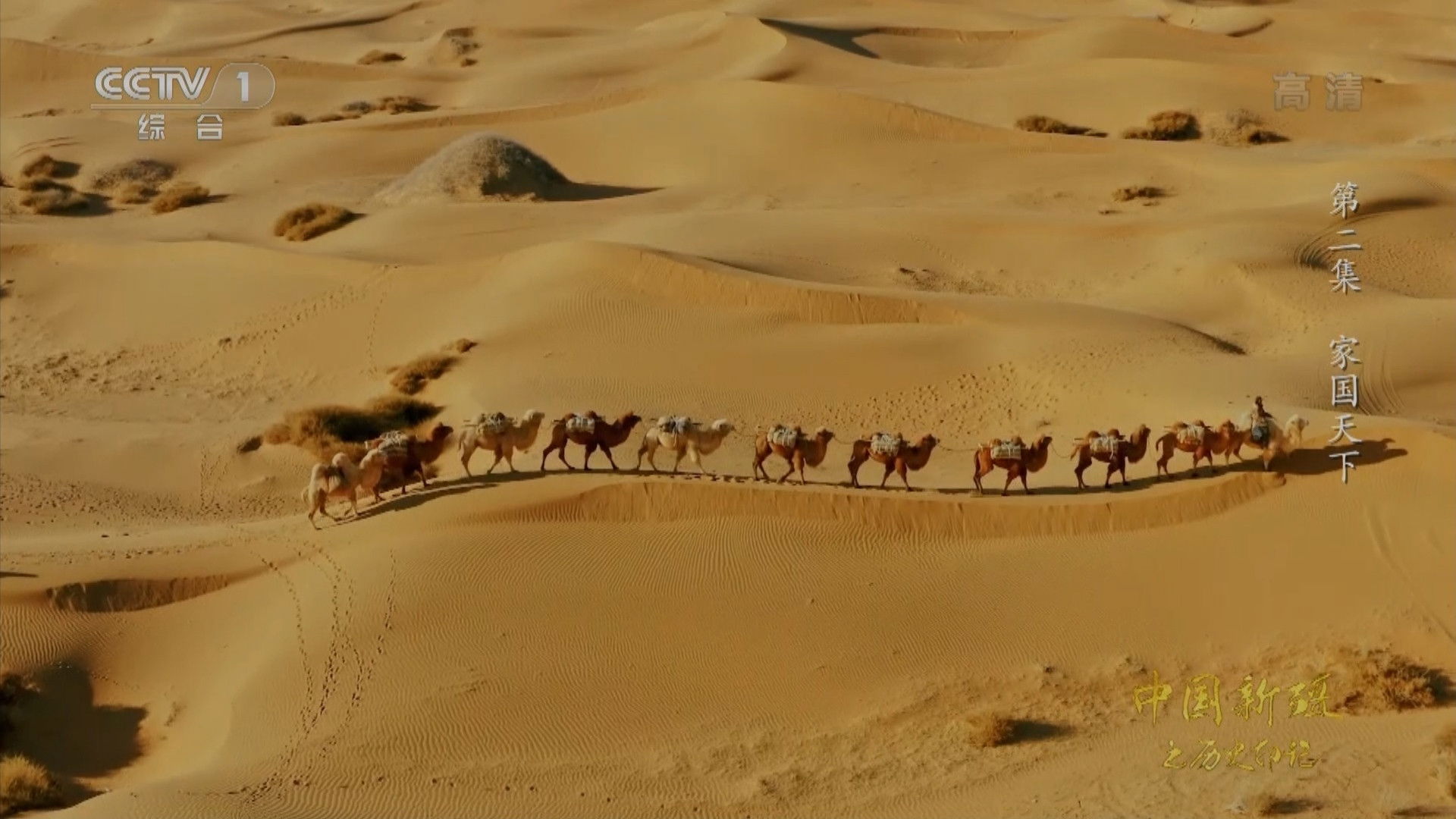 Family, Country, World