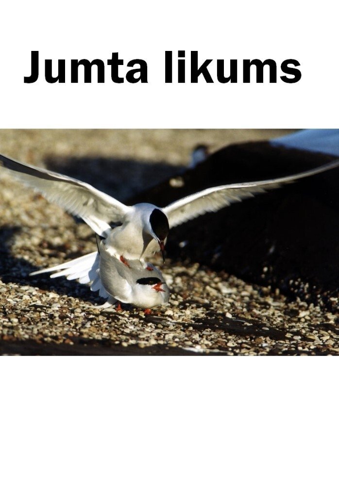 Poster de Jumta likums