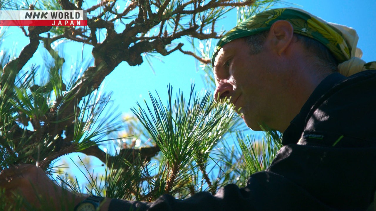 Handcrafting the Beauty of Nature