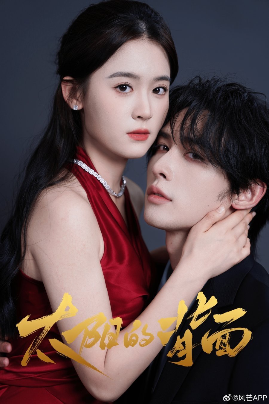 Poster de 太阳的背面