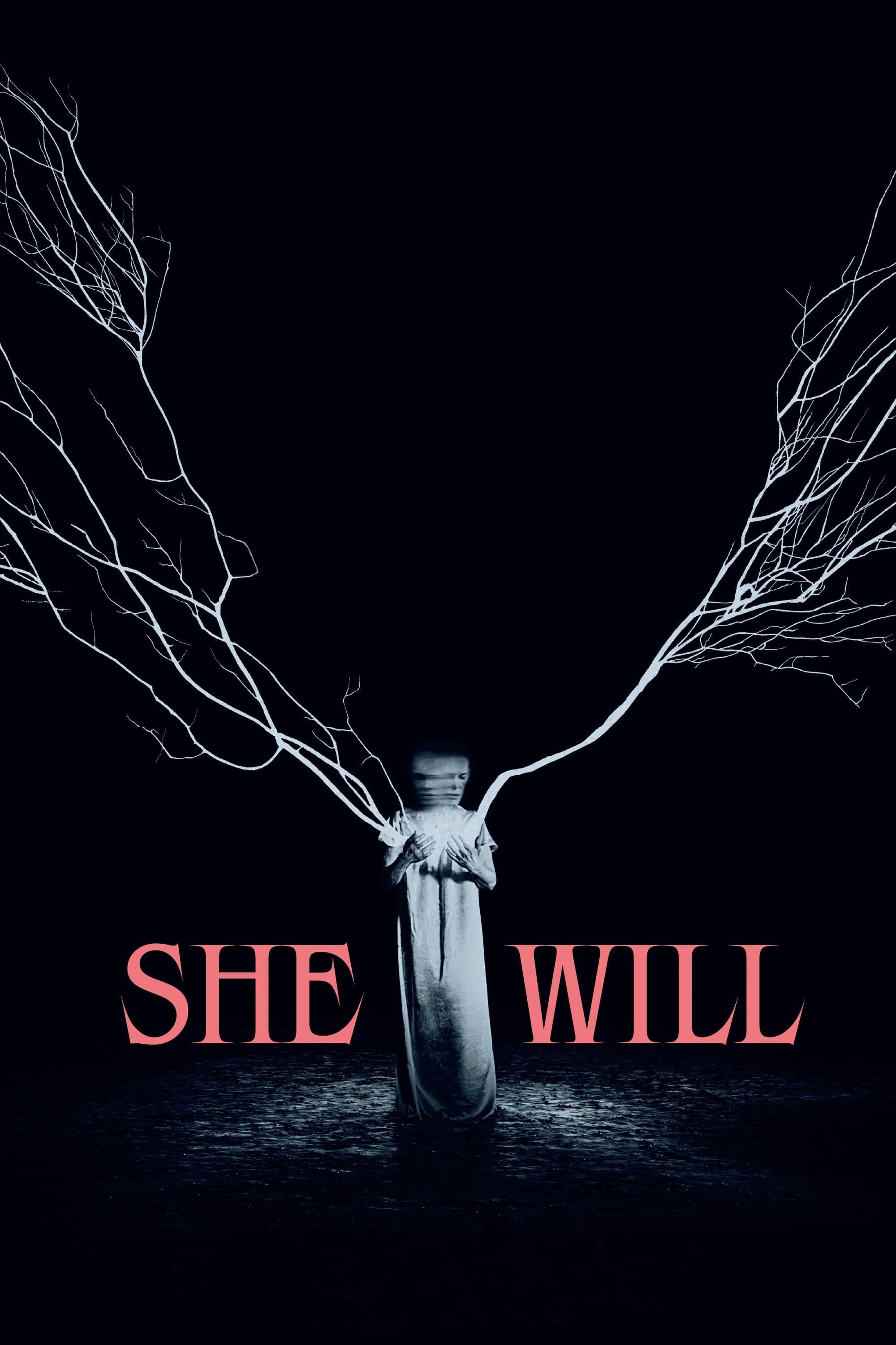 She Will poster