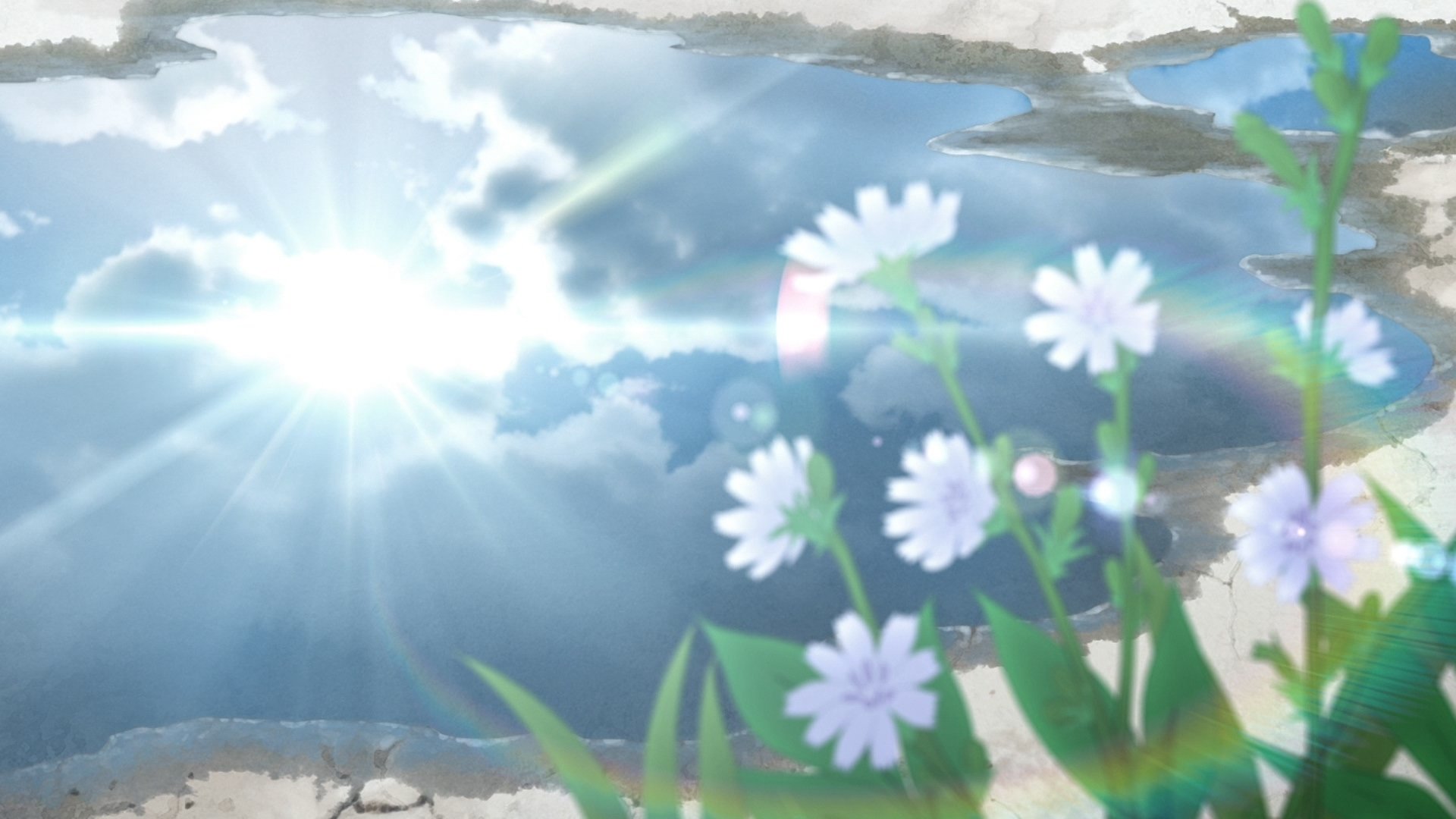 backdrops