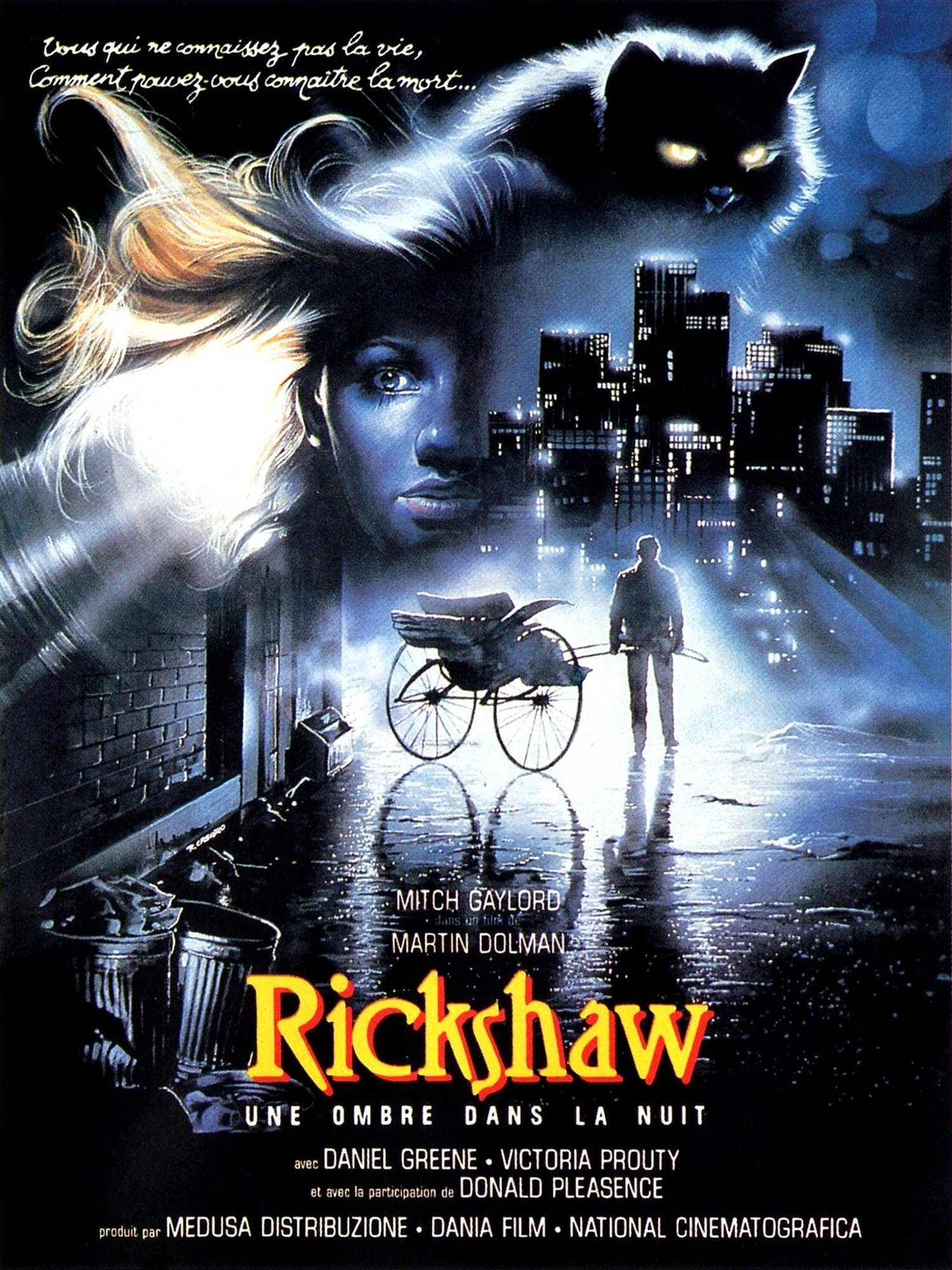 Affiche du film American risciò