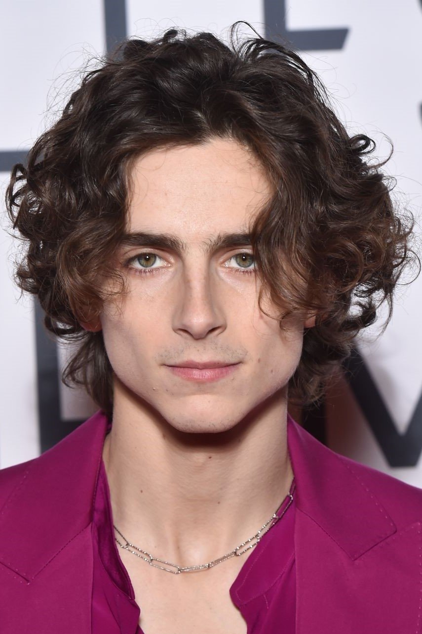 Foto de Timothée Chalamet