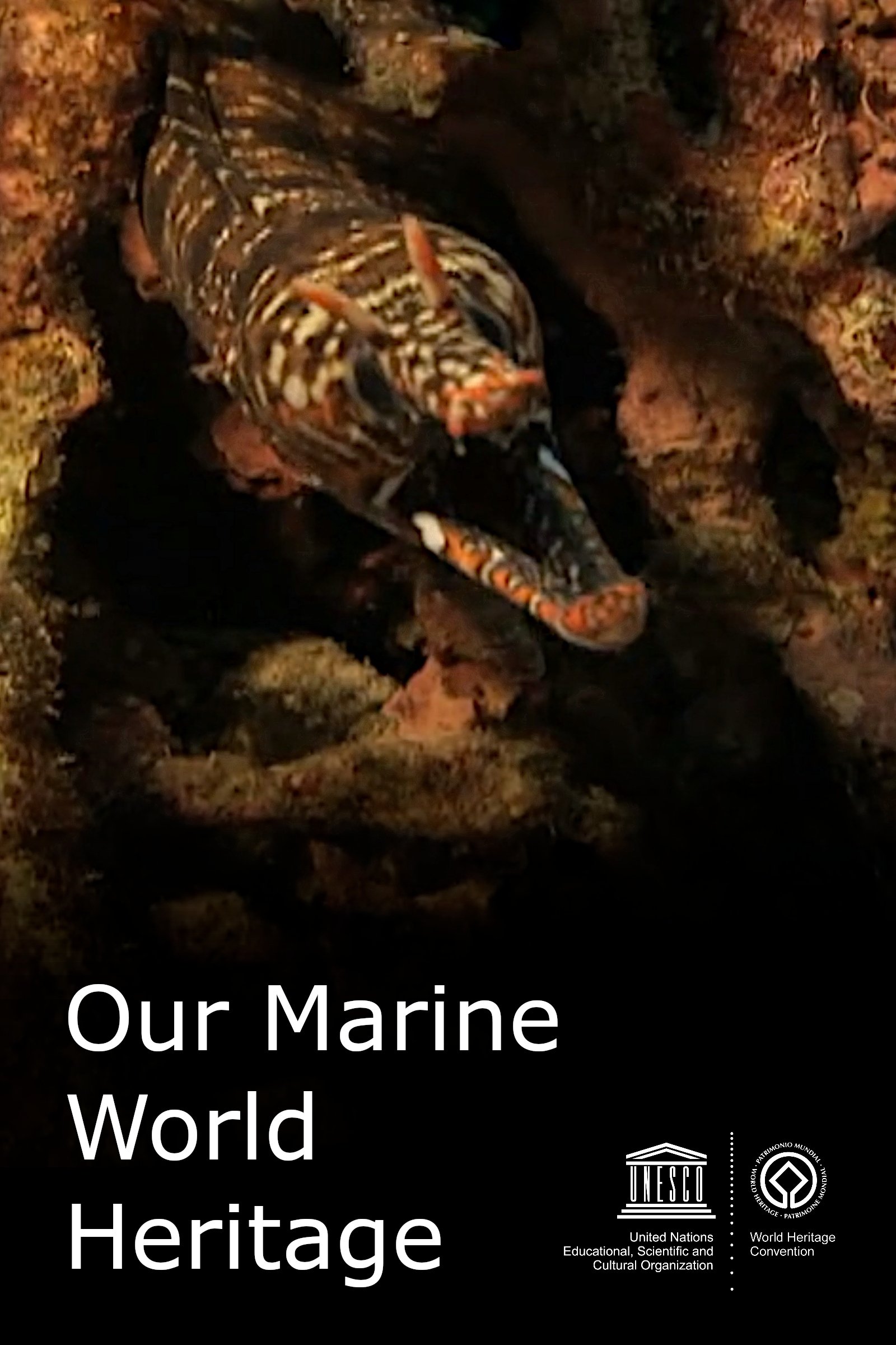 Card example background