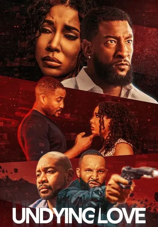 Poster de Undying Love