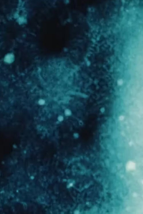 Poster de Galaxies [a love letter]