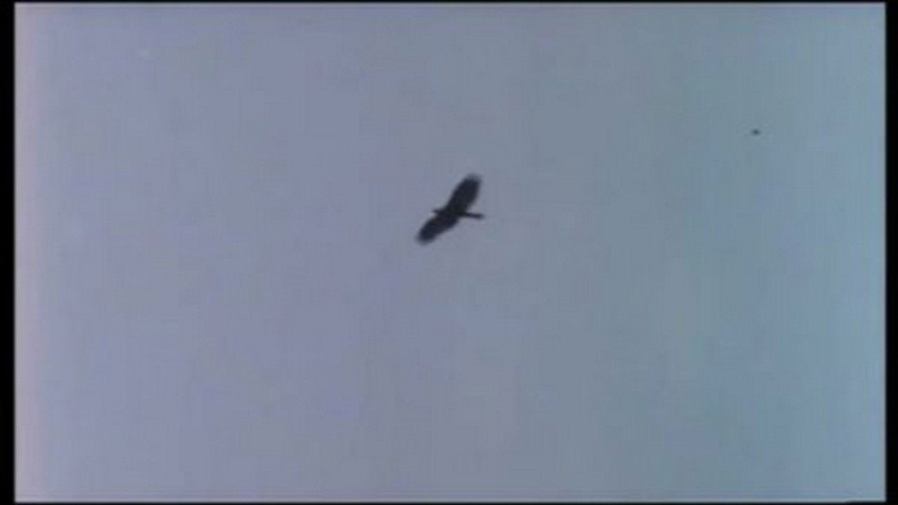 Valley of the Eagles