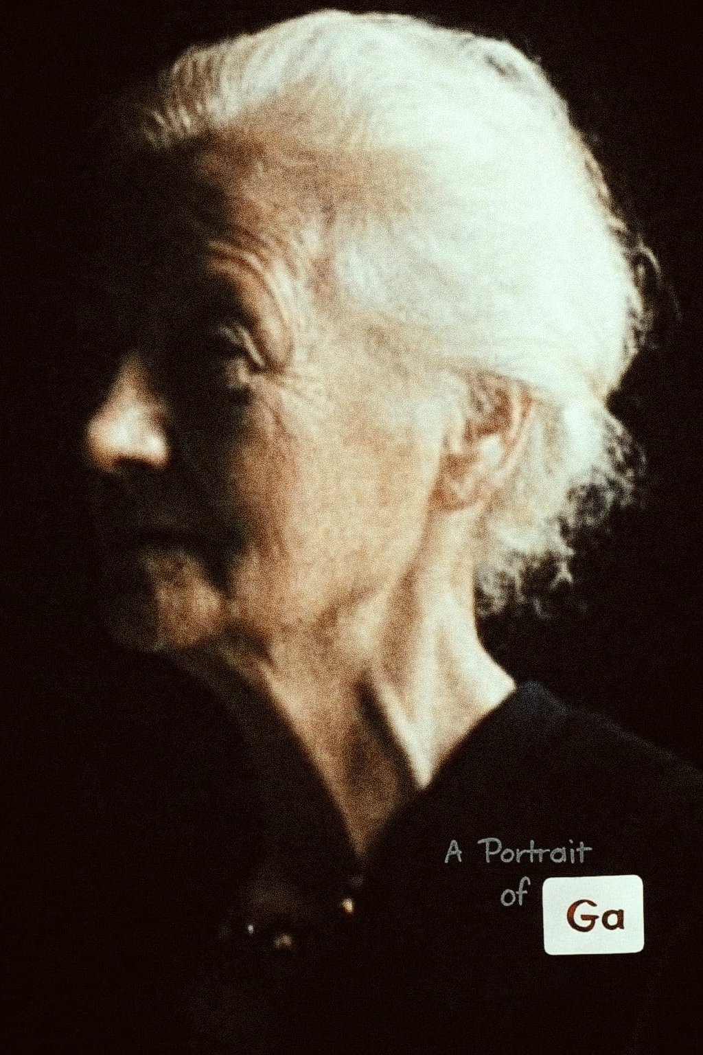 Poster de A Portrait of Ga