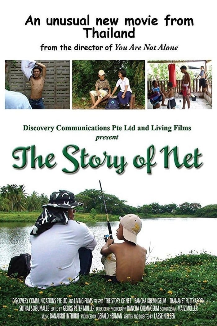 Poster de The Story of Net