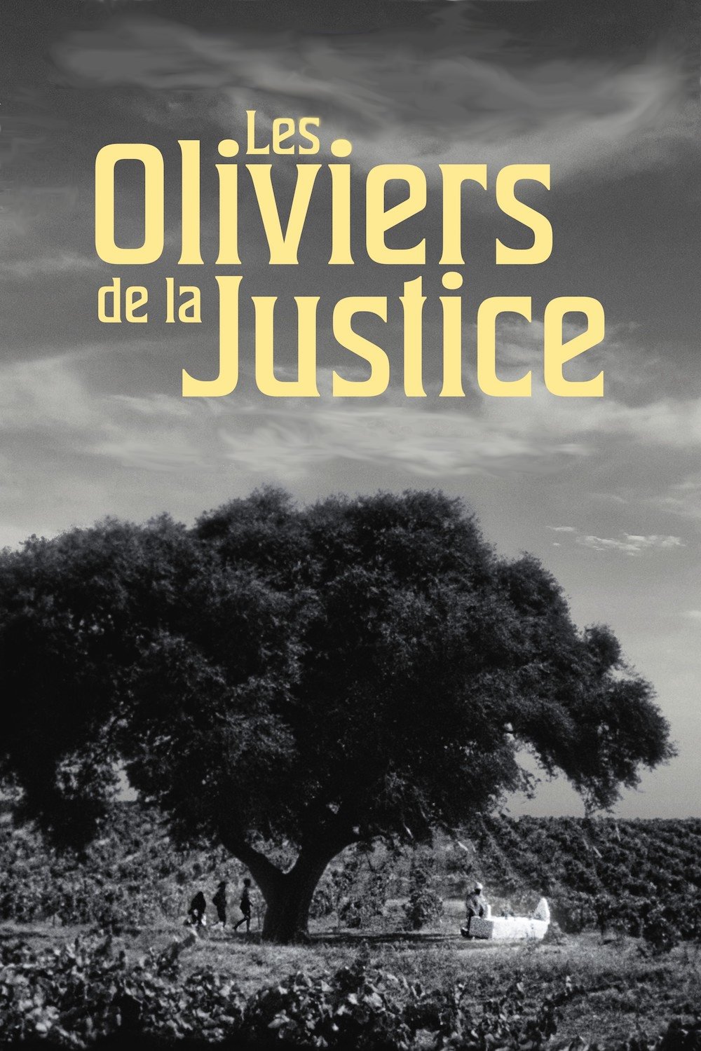 Poster de Les Oliviers de la justice