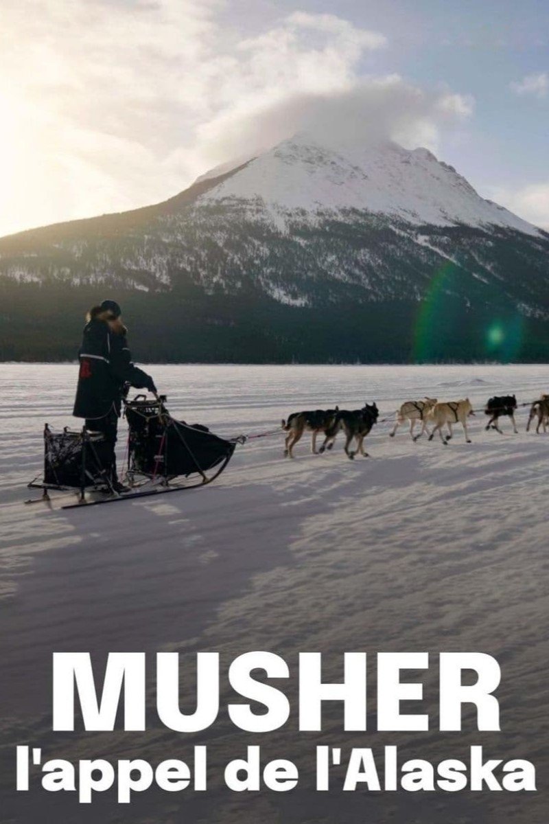 Poster de Musher, l'appel de l'Alaska