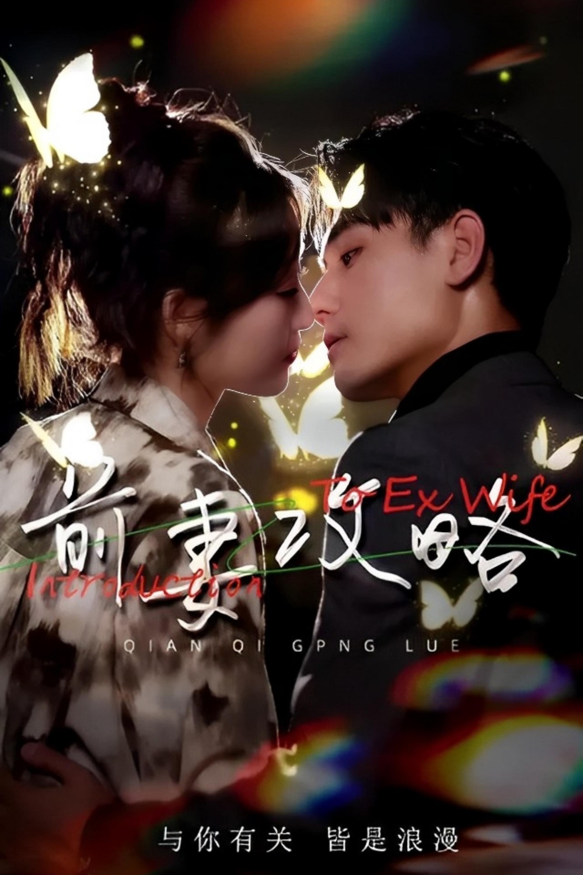 Poster de 前妻攻略