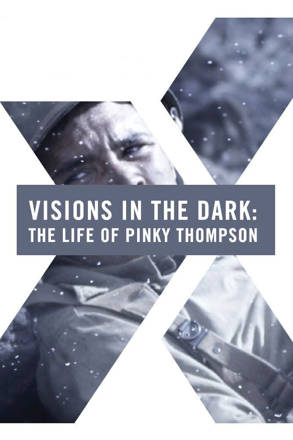 Poster de Visions in the Dark: The Life of Pinky Thompson