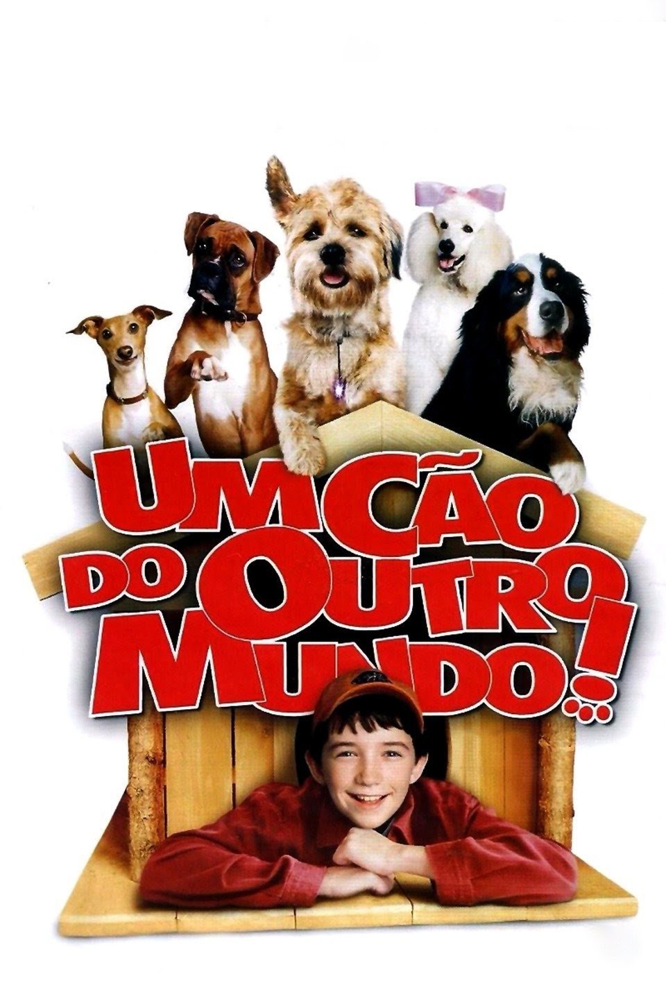 Poster de Um Cão de Outro Mundo