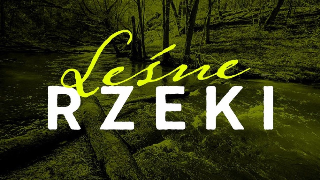 Leśne rzeki