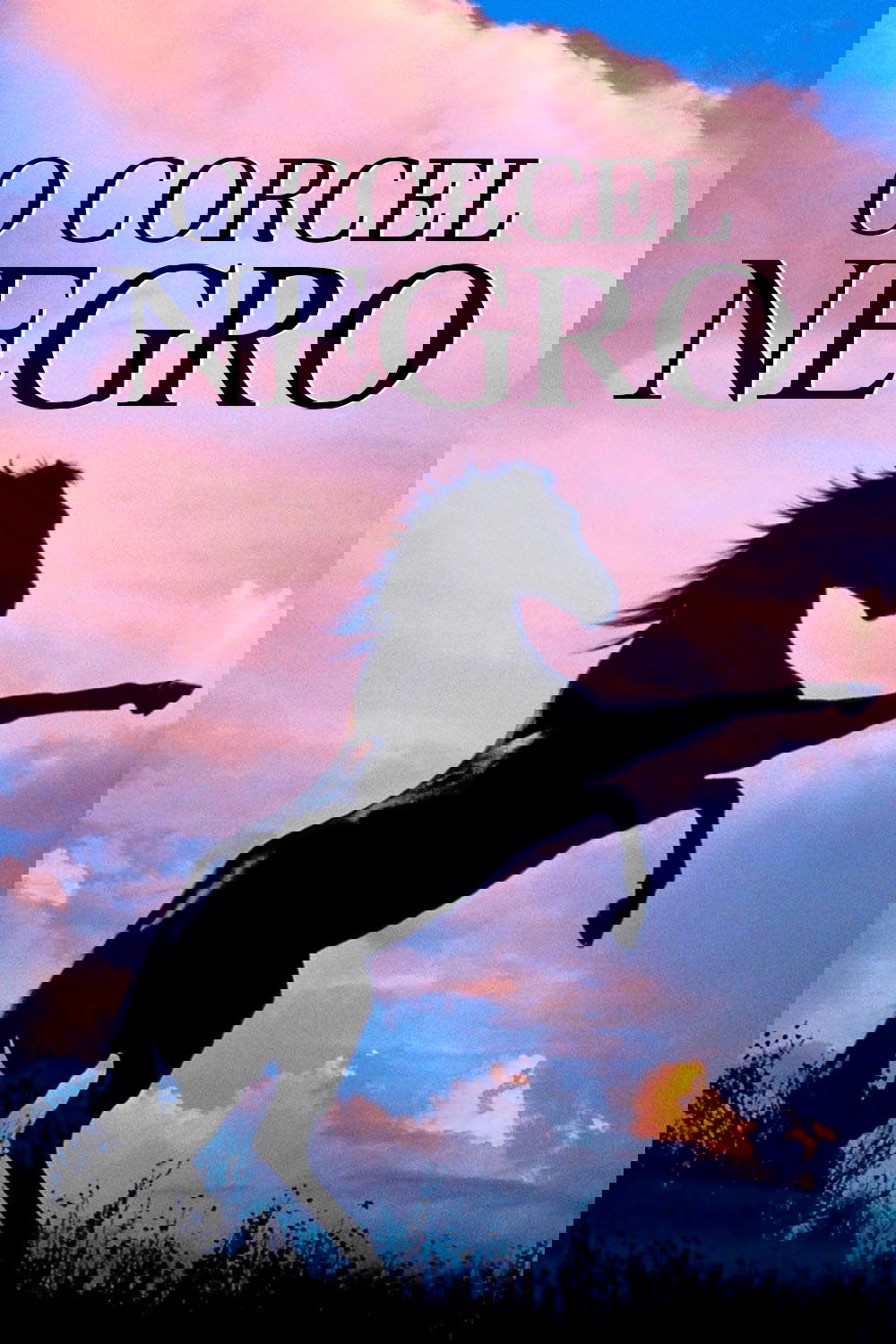 Poster de O Corcel Negro