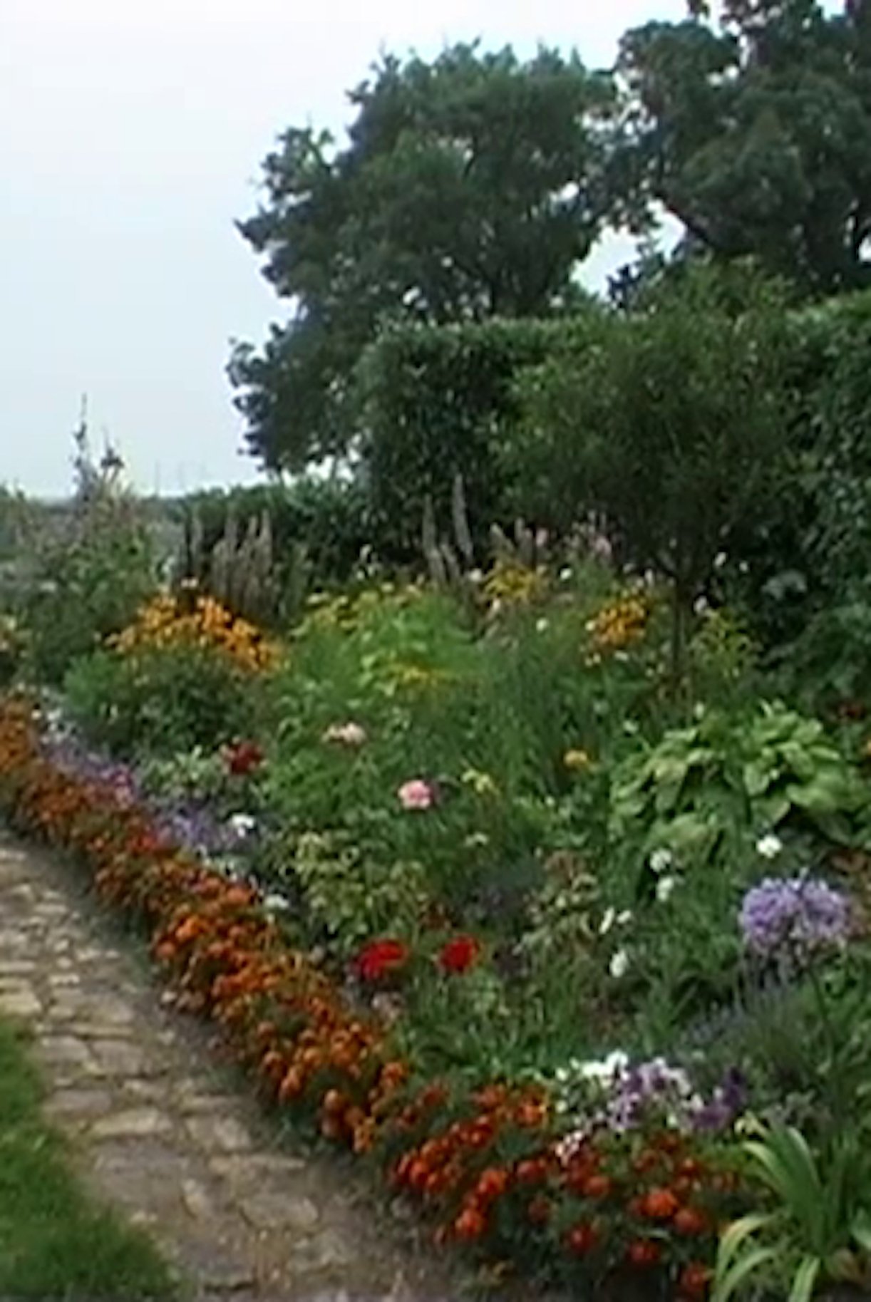 Poster de Allons-Y Alonzo: Souvenirs of a Landscape