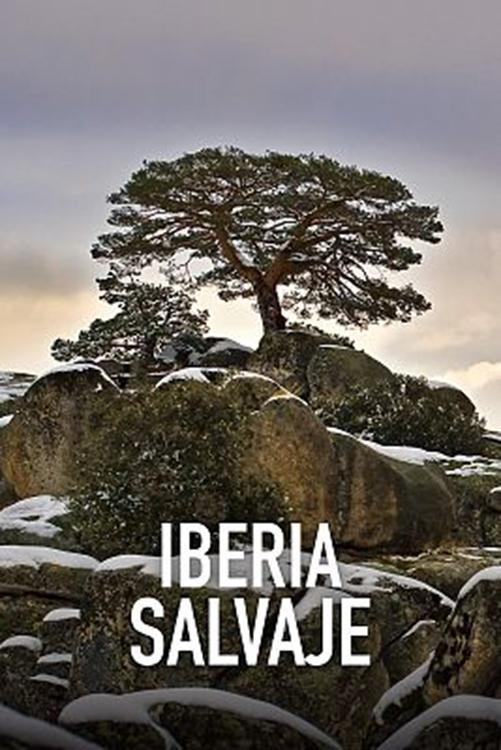 Poster de Espanha Selvagem