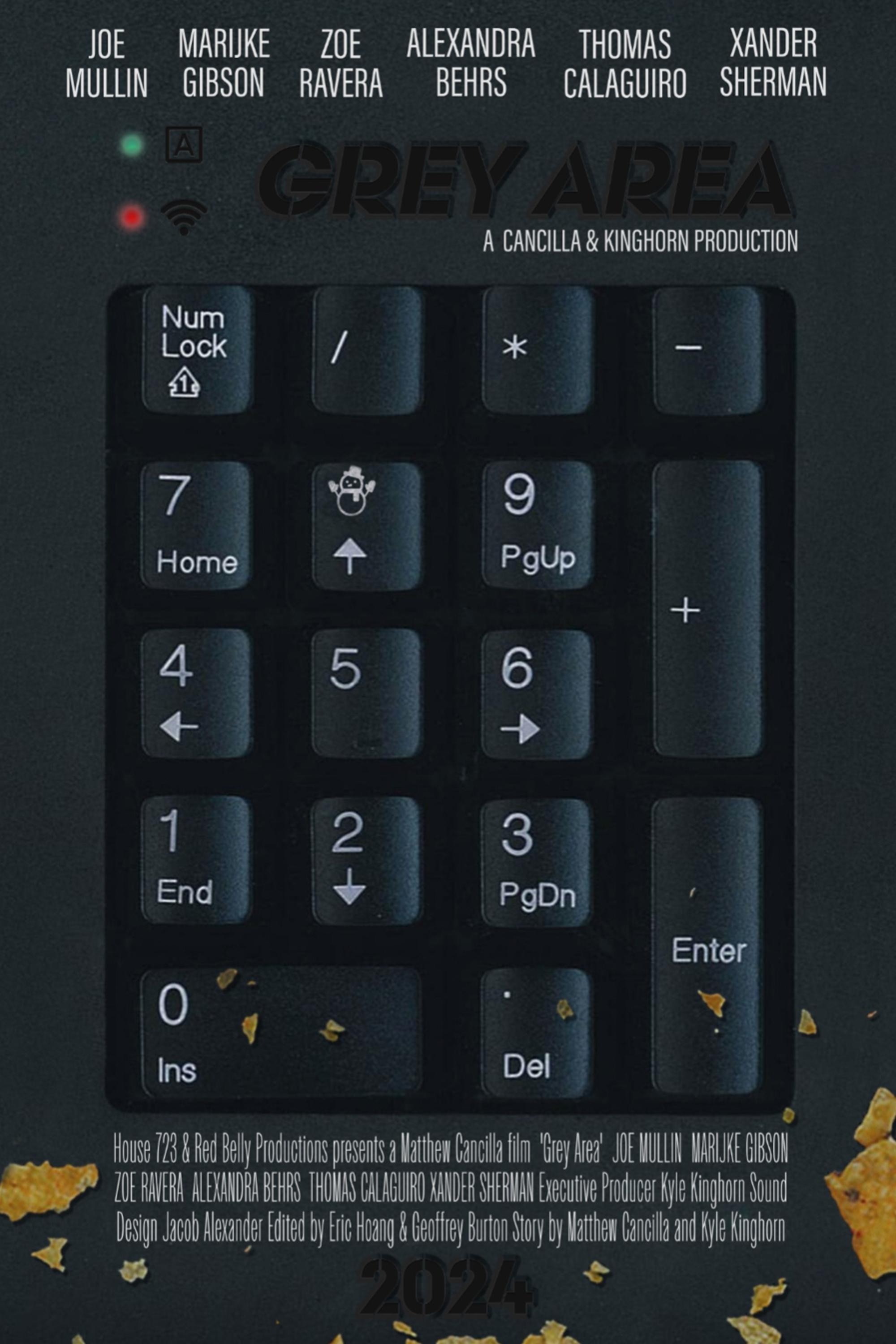 Poster de Grey Area