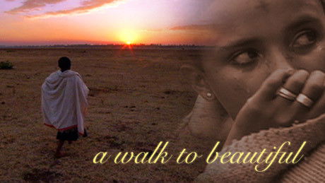 A Walk to Beautiful