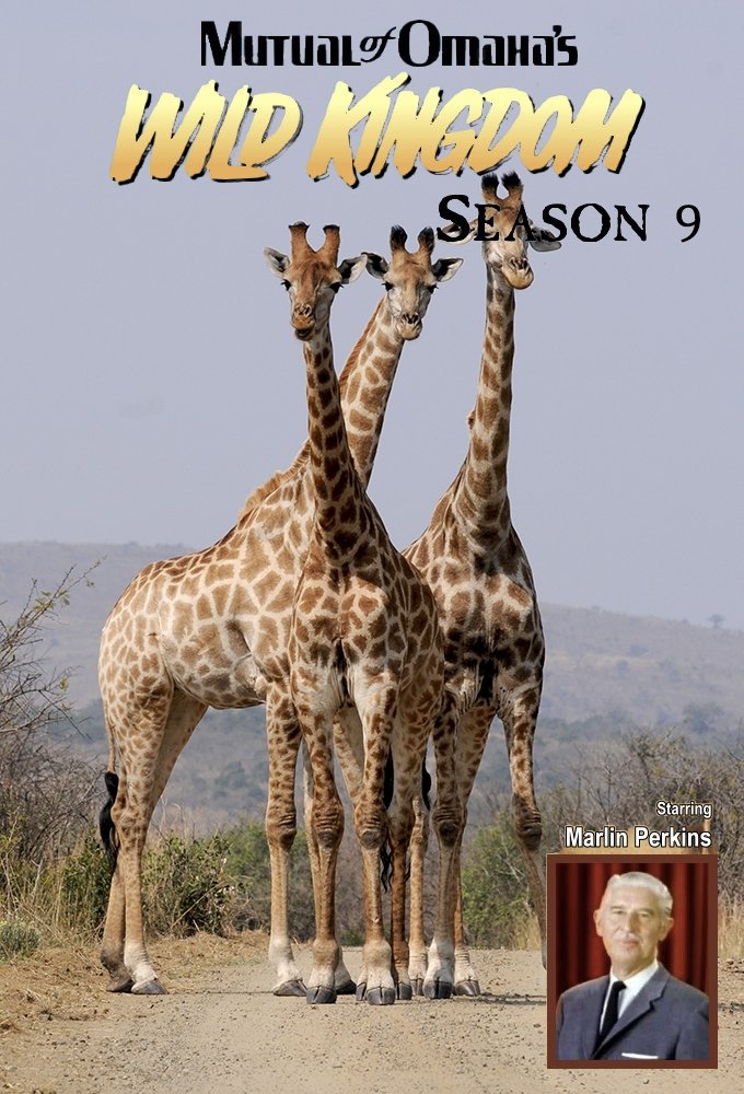 Poster de Temporada 9