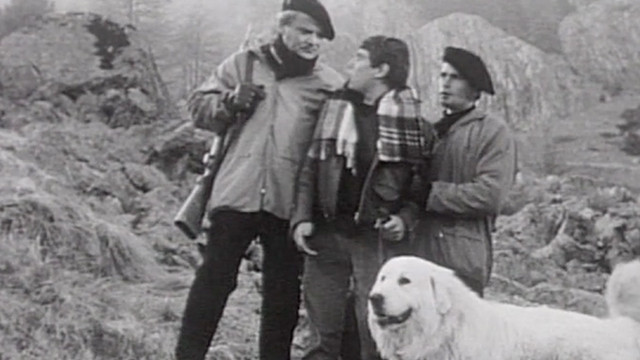 The Grand Parade Runway