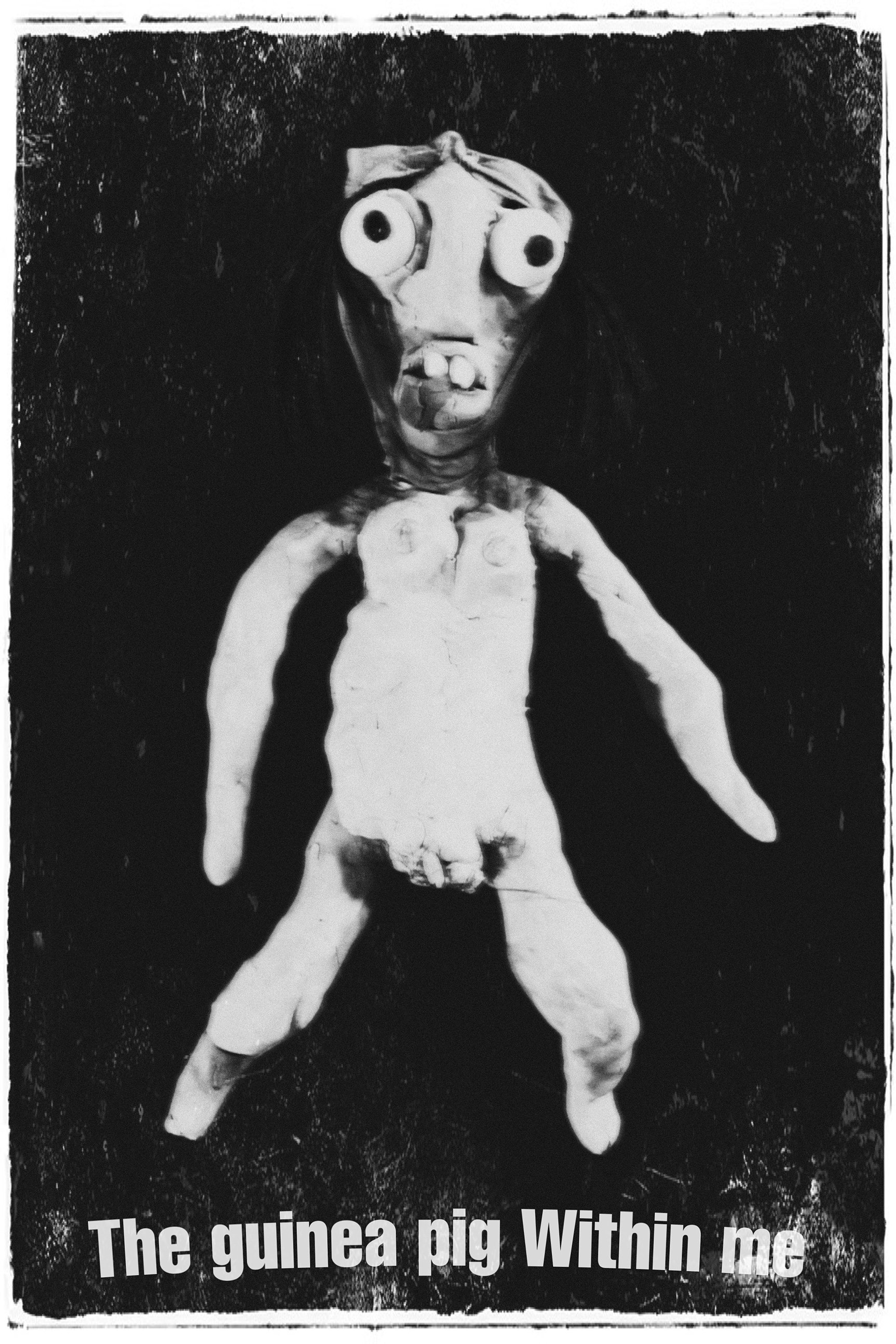 Poster de Måttens marsvin