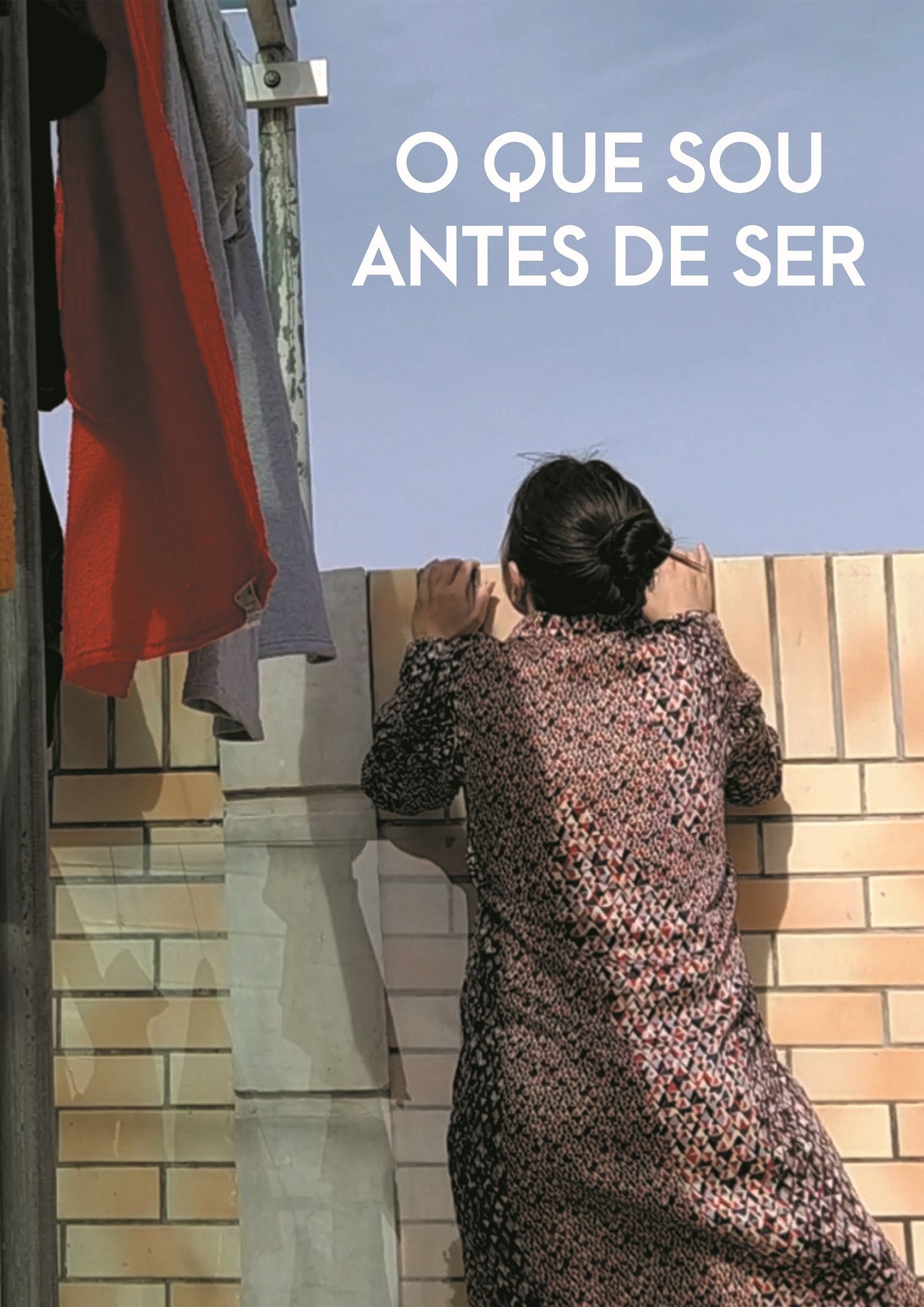 Poster de O que sou antes de ser
