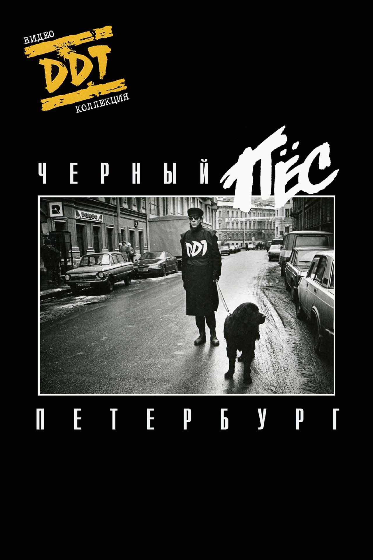 Poster de ДДТ: Чёрный пёс Петербург