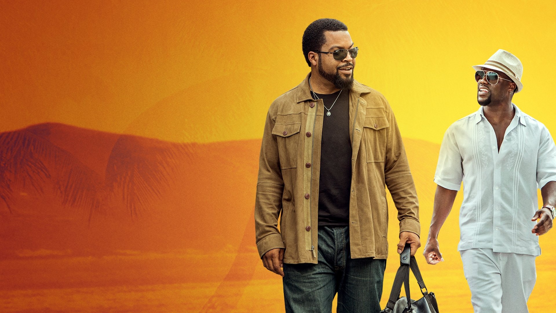 Ride Along 2 2016 Soap2Day