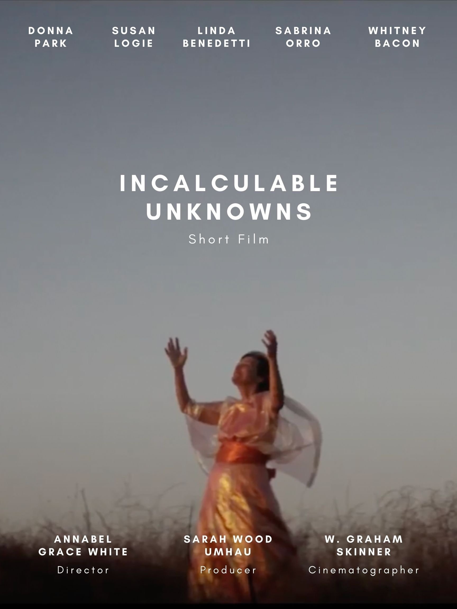 Poster de Incalculable Unknowns