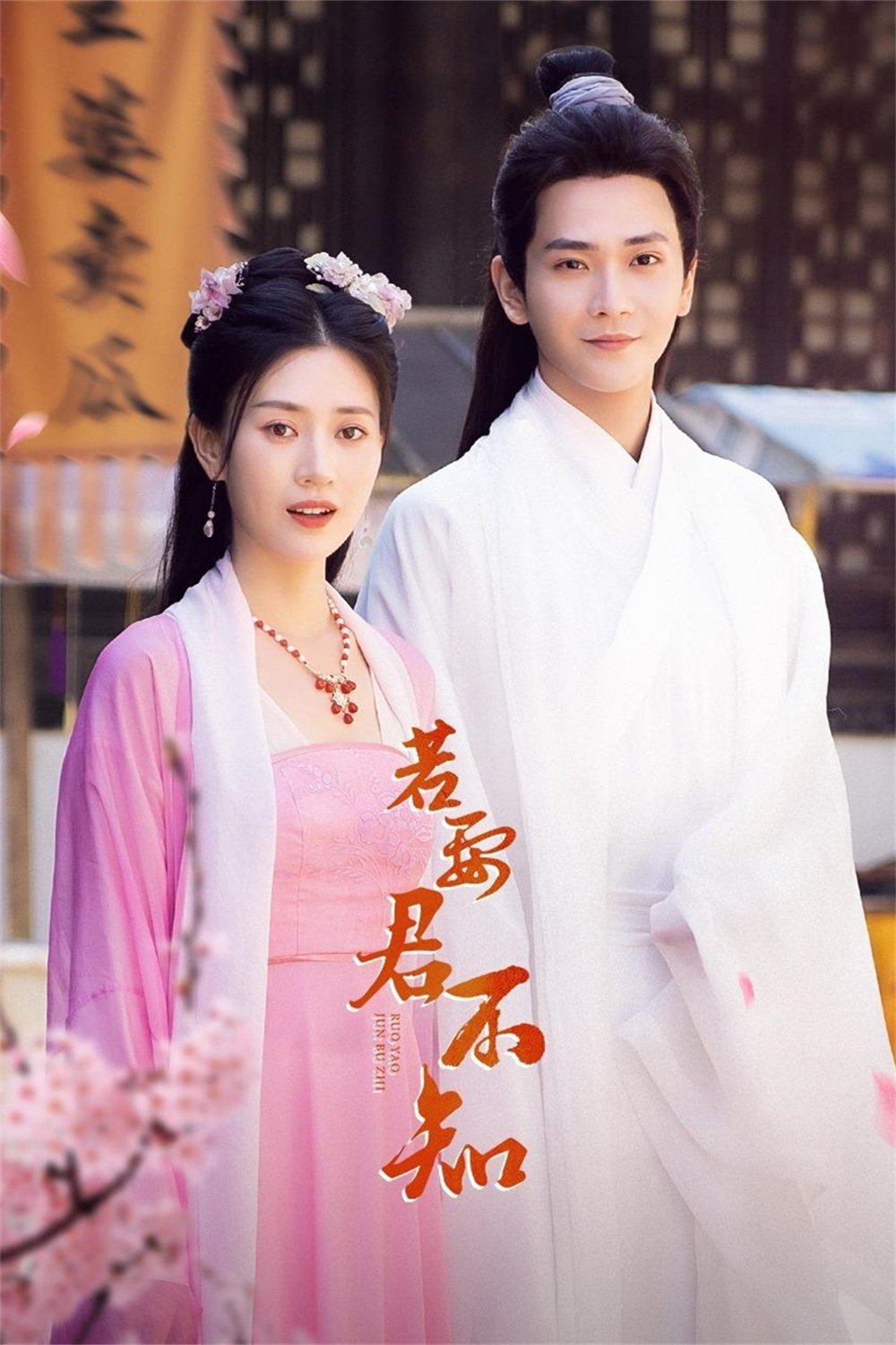Poster de 若要君不知