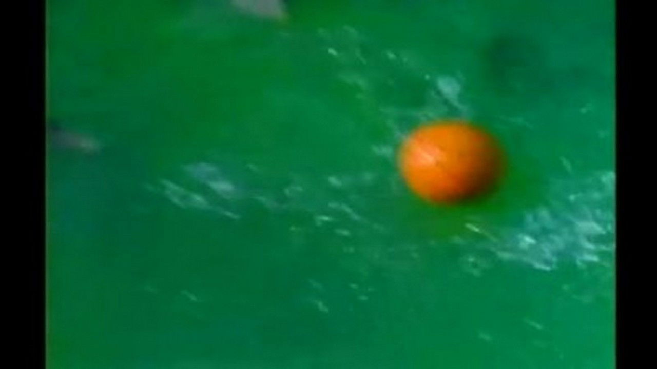 Mastermind of the Sea