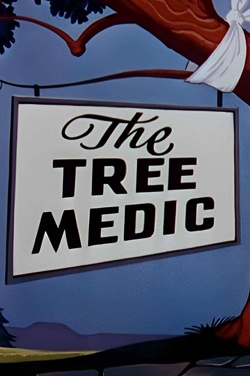 Poster de Médico de Árvores