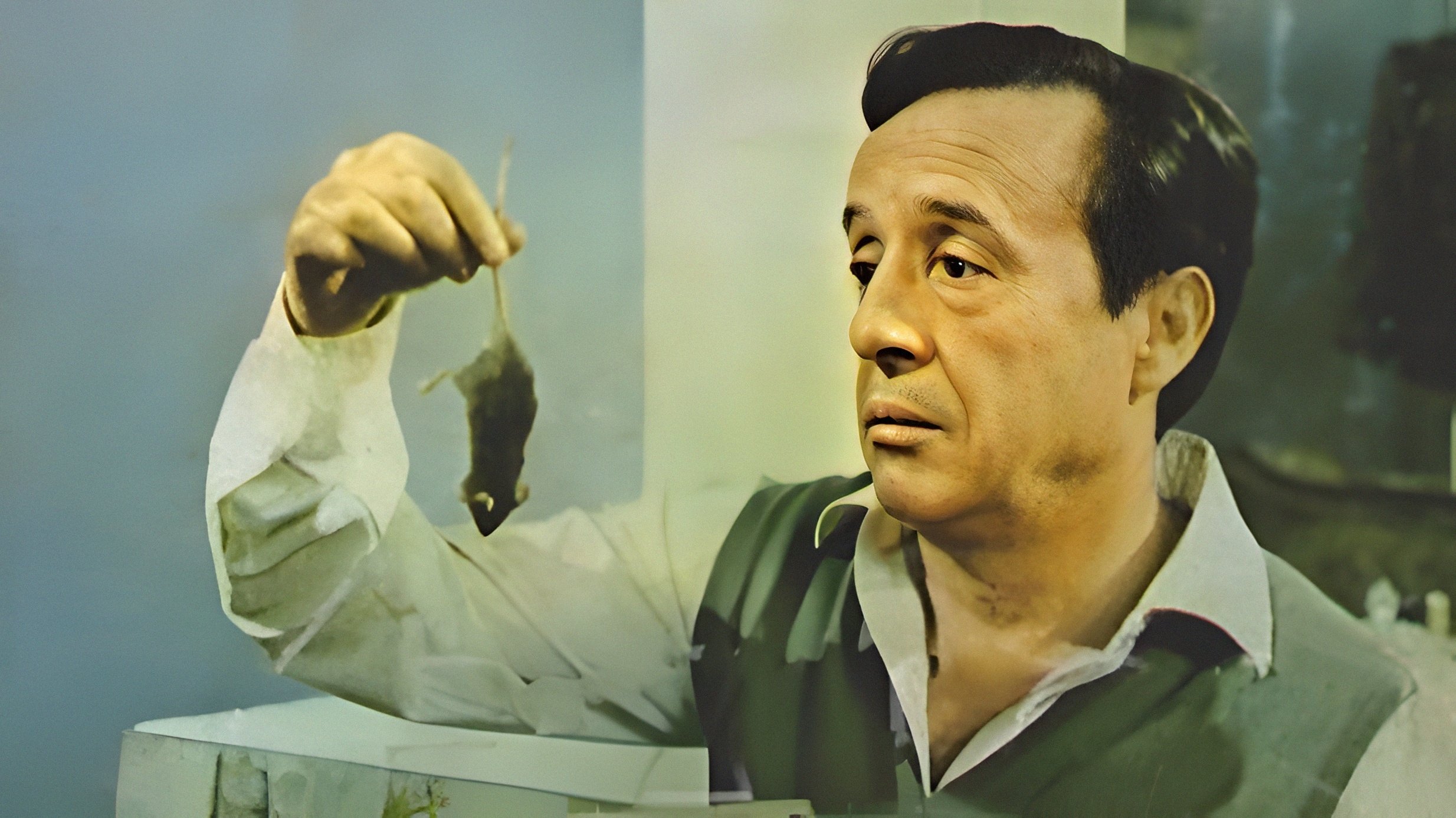Benito Raúl Ibarra