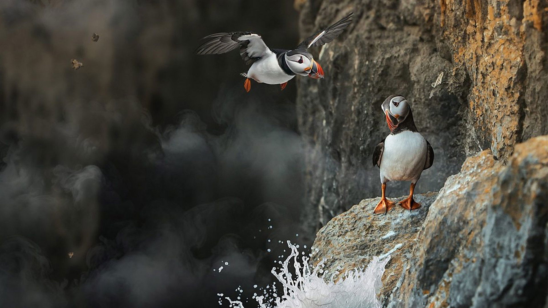 Inside Britain's National Parks