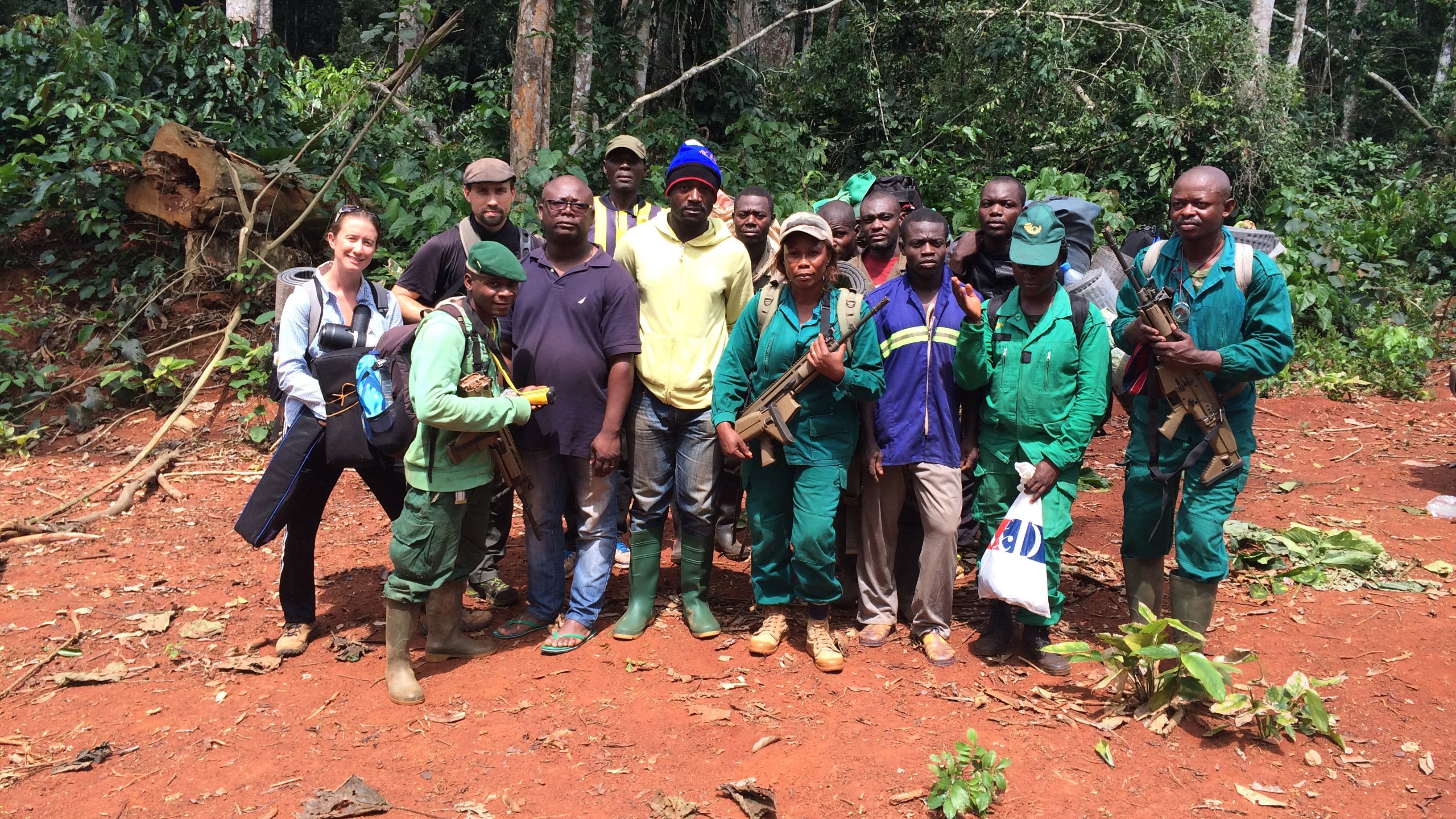 Silent Forests 2019 Soap2Day