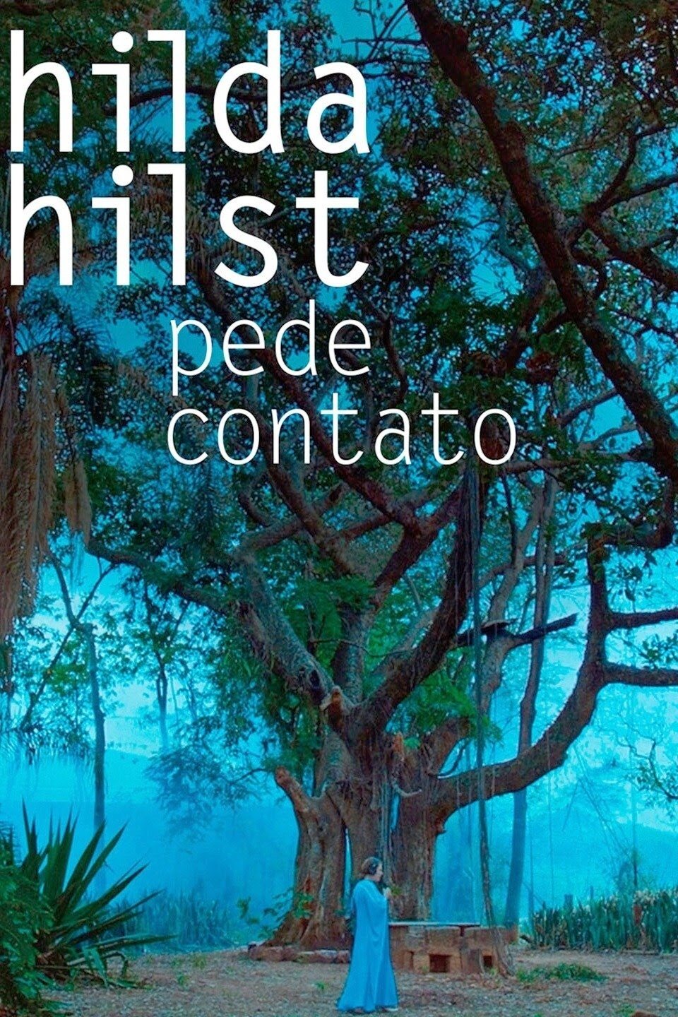 Poster de Hilda Hilst Pede Contato