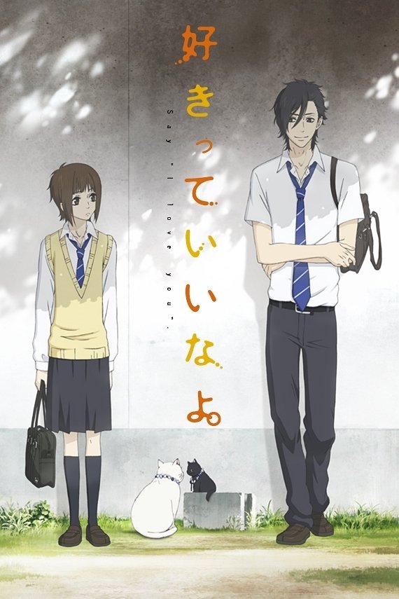 Poster de Say "I love you."