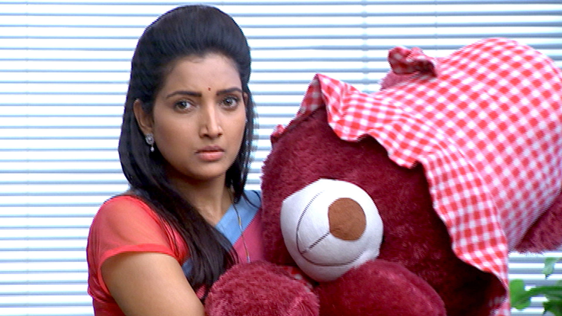 Vasant The Teddy Bear