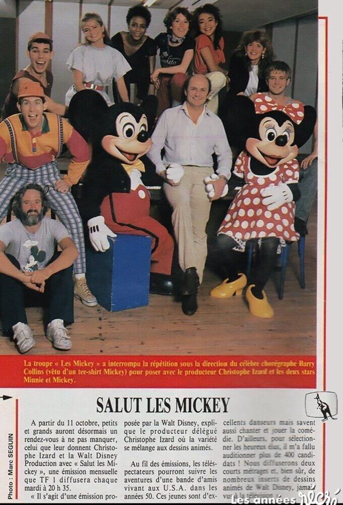 Poster de Salut les Mickey