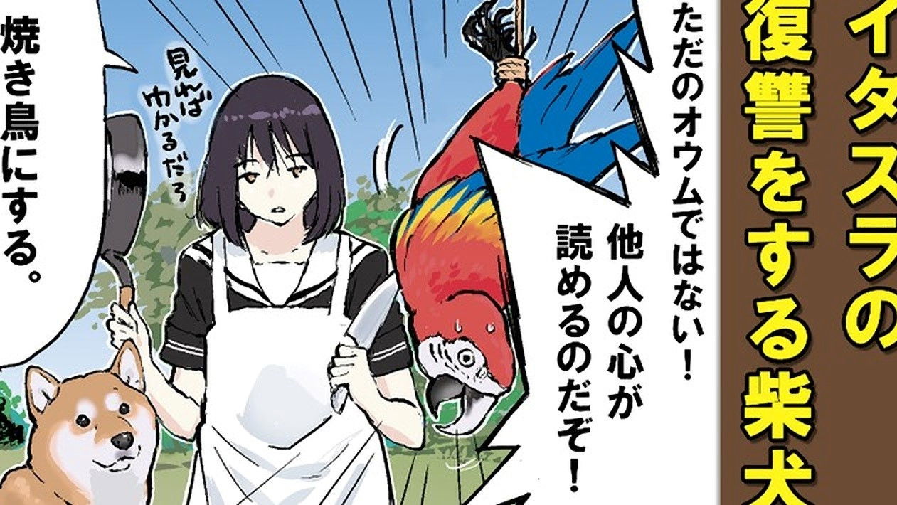 Satori / Shallow Psychology / Gift